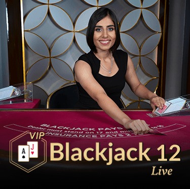 Blackjack VIP 12